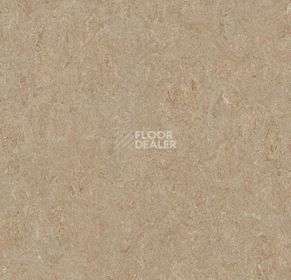 Линолеум Forbo Marmoleum Marbled Terra 5803-580335 weathered sand фото 1 | FLOORDEALER
